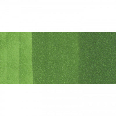 Copic Ciao G07 - Nile Green