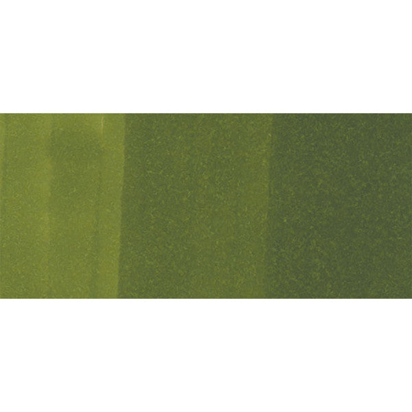 Copic Ciao G29 - Pine Tree Green