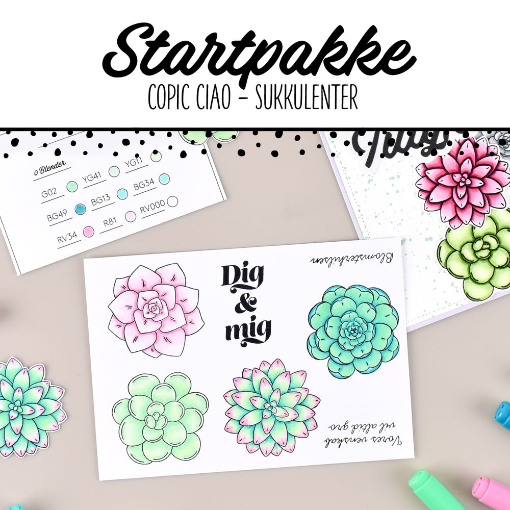 Startpakke - Copic Ciao sukkulenter