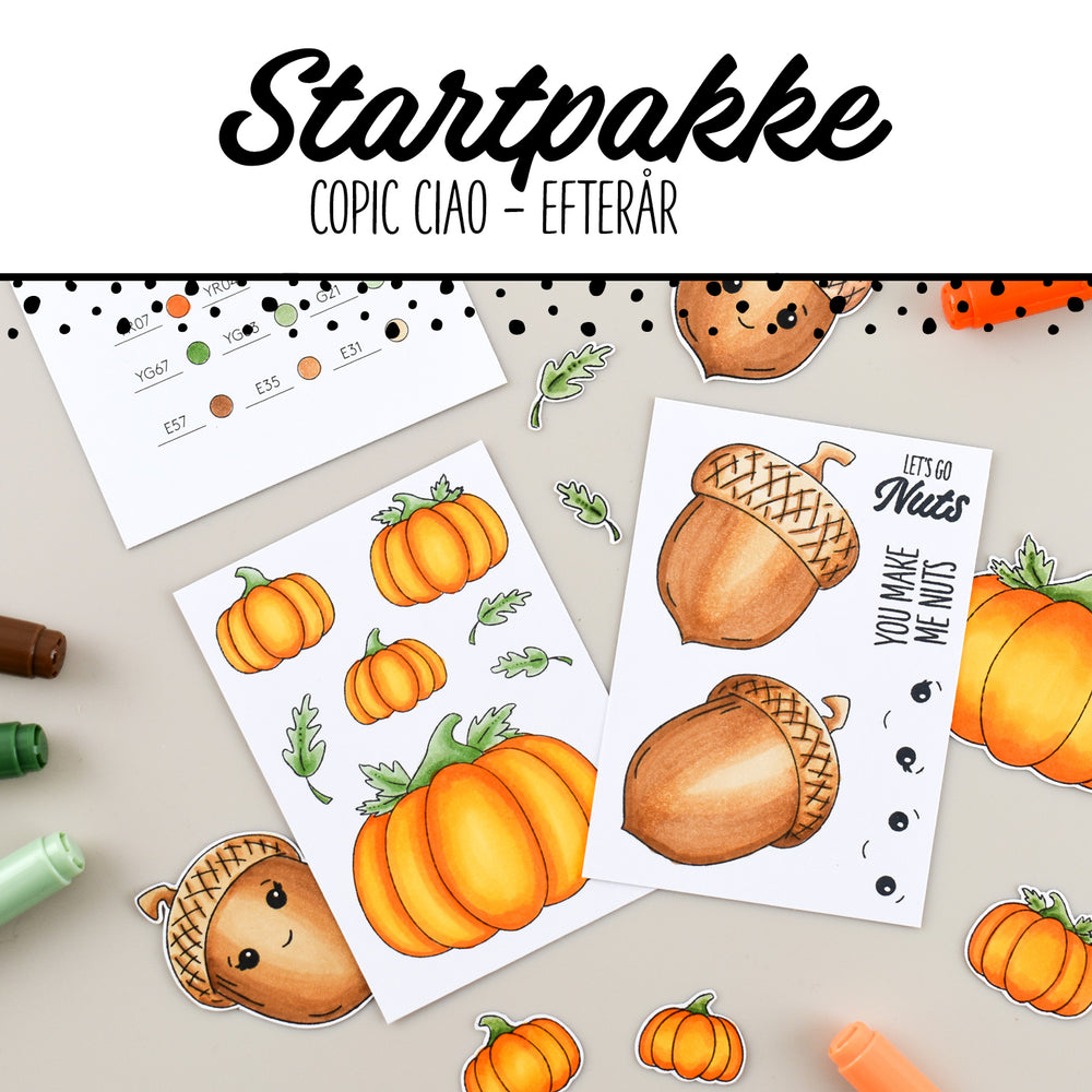Startpakke - Copic Ciao efterår