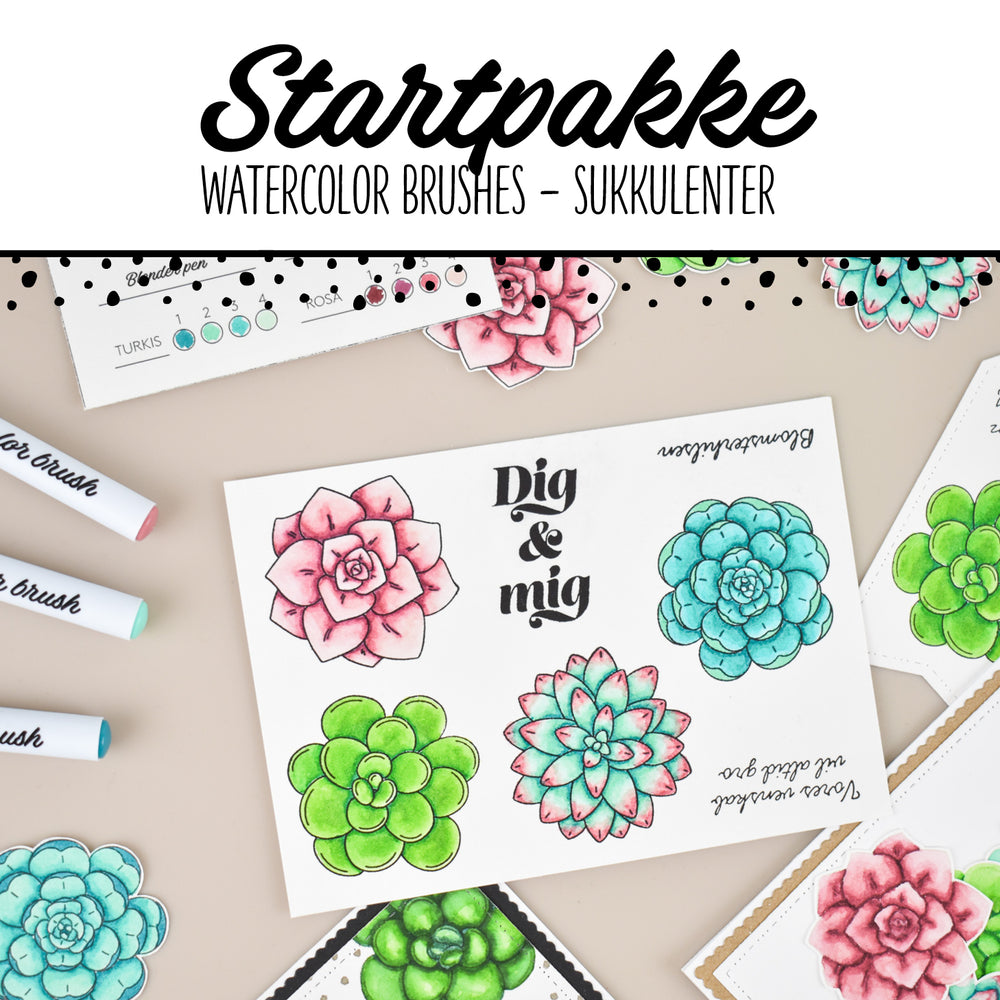 Startpakke - Watercolor brushes sukkulenter