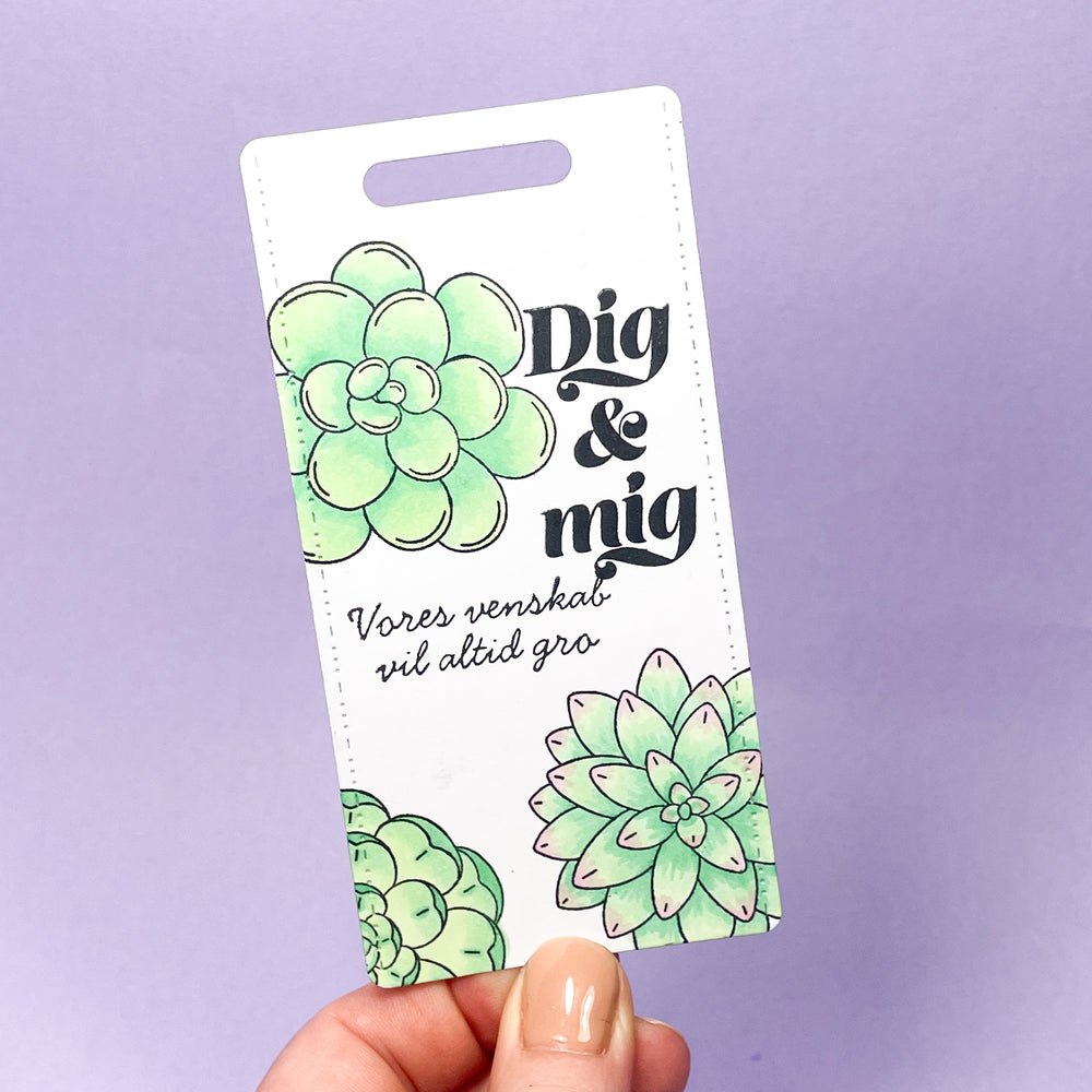 Startpakke - Copic Ciao sukkulenter