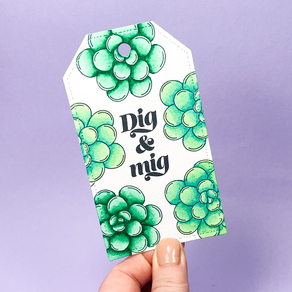 Startpakke - Watercolor brushes sukkulenter