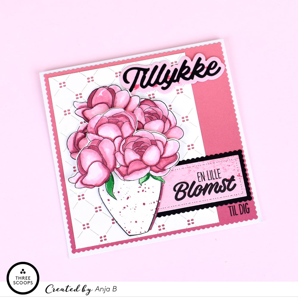Tillykke 3 – dies