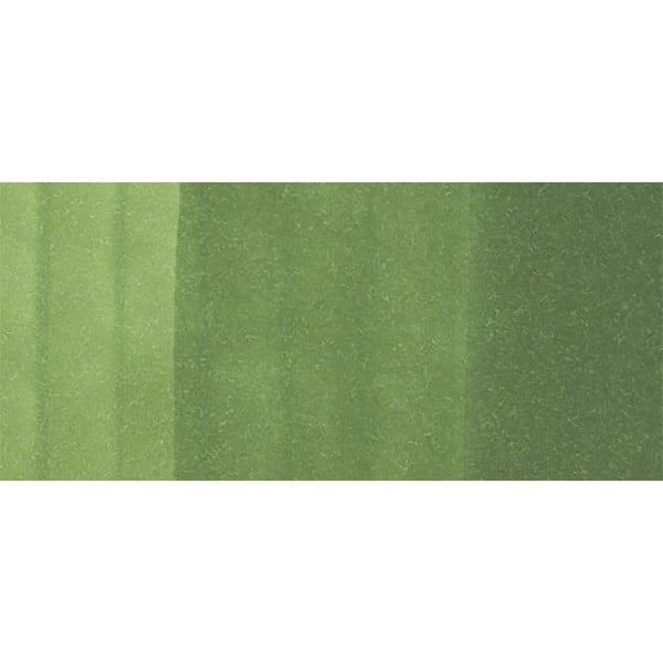 Copic Sketch YG67 - Moss
