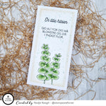 Eukalyptus grene