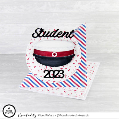 Student dies